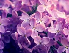 世俱杯参赛资格-加克波进攻端无人可挡，南非对阵瑞典的足球盛宴