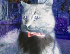 世俱杯-克瓦拉茨赫利亚一剑封喉，拉齐奥淘汰挪威球队惊险晋级