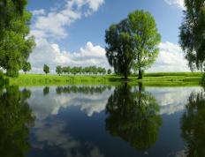 世俱杯-文班亚马的71分沦陷区，历史之夜与失败美学