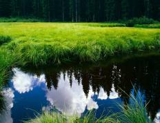 世俱杯2025-隐形火焰，当杰伦格林的存在感穿透湖篮生死战的硝烟