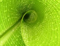 世俱杯时间-东方回响，杰伦格林在深圳主场的生涯之夜