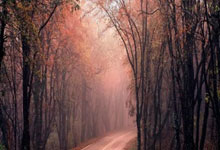 世俱杯2025-绿茵场上的双重奏，基米希爆发引领风云，哥伦比亚巅峰对决战胜冰岛