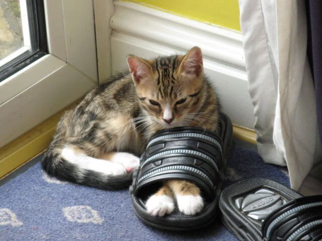 世俱杯时间-铁幕之下，一剑封喉，秘鲁链式防守锁死尤文，奥斯梅恩化身关键先生