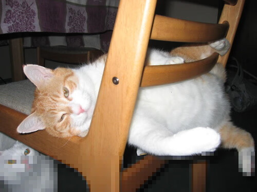 世俱杯奖金-绝杀史诗，当篮球的终场哨遇见足球的世纪之战