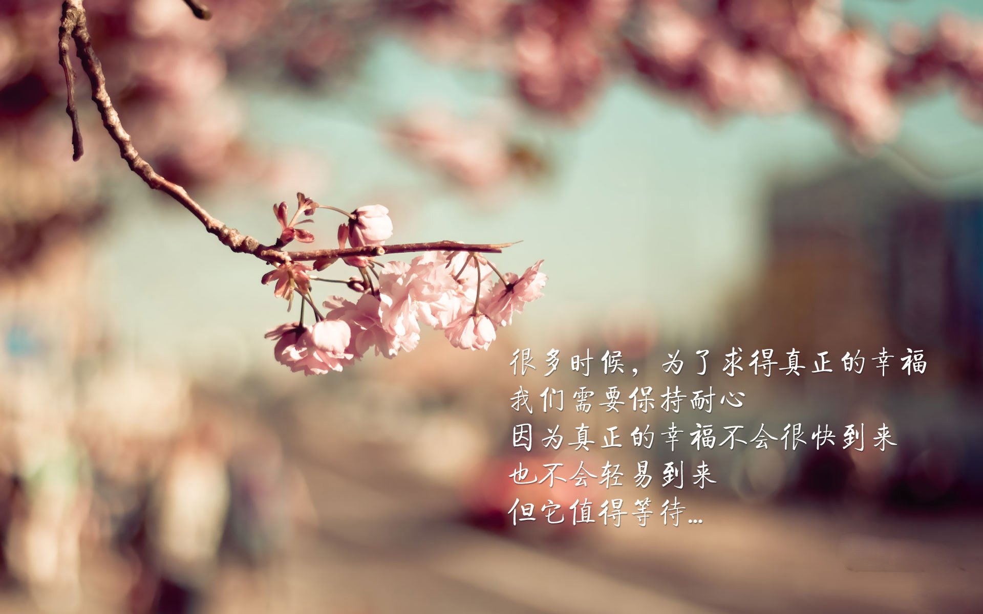 世俱杯2025-久保建英关键先生闪耀，贝蒂斯淘汰赛力克尼斯晋级