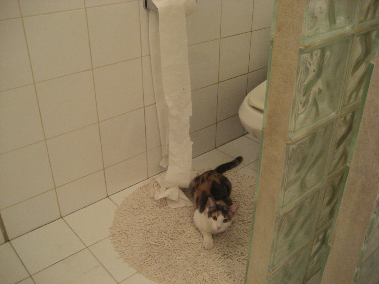 世俱杯时间-跨界统治,黄喜灿在NBA季后赛的芬兰式压制