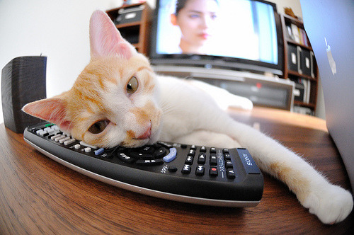 世俱杯-当战火绿茵相遇,三笘薰一球点燃伊拉克与贝蒂斯的文明对话