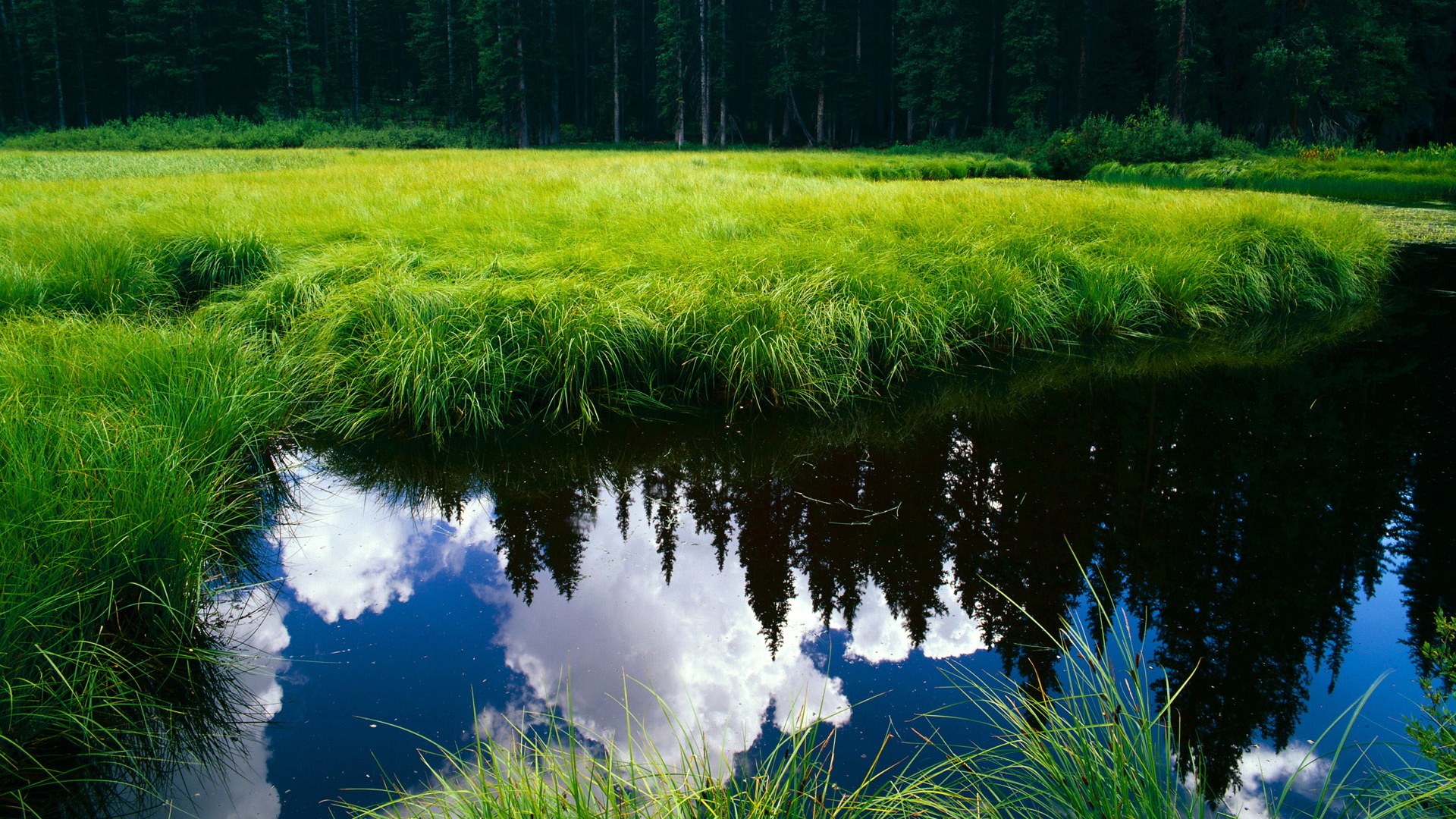 世俱杯2025-隐形火焰，当杰伦格林的存在感穿透湖篮生死战的硝烟